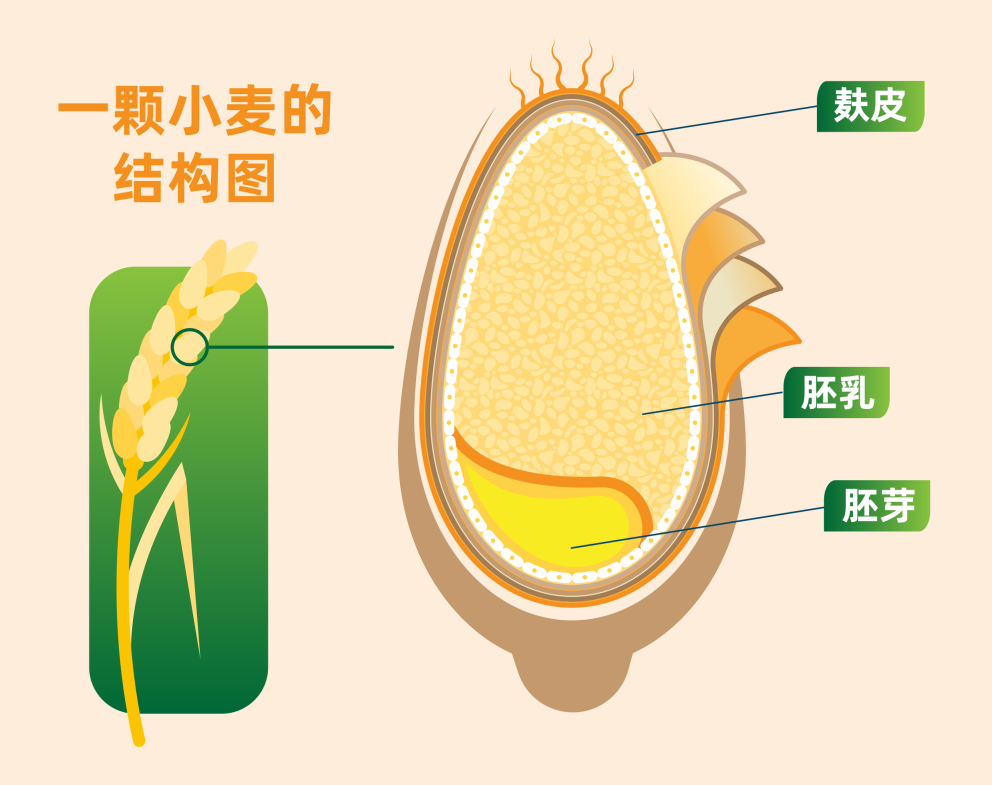 ÈËÉú¾ÍÊDz©¡¤(ÖйúÇø)¹Ù·½ÍøÕ¾