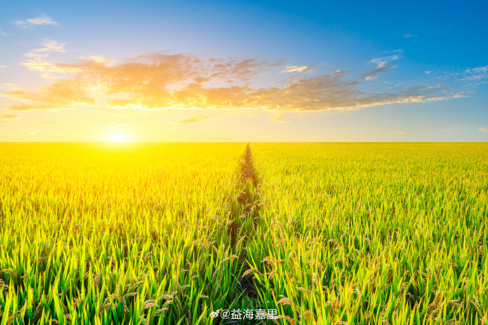 ÈËÉú¾ÍÊDz©¡¤(ÖйúÇø)¹Ù·½ÍøÕ¾